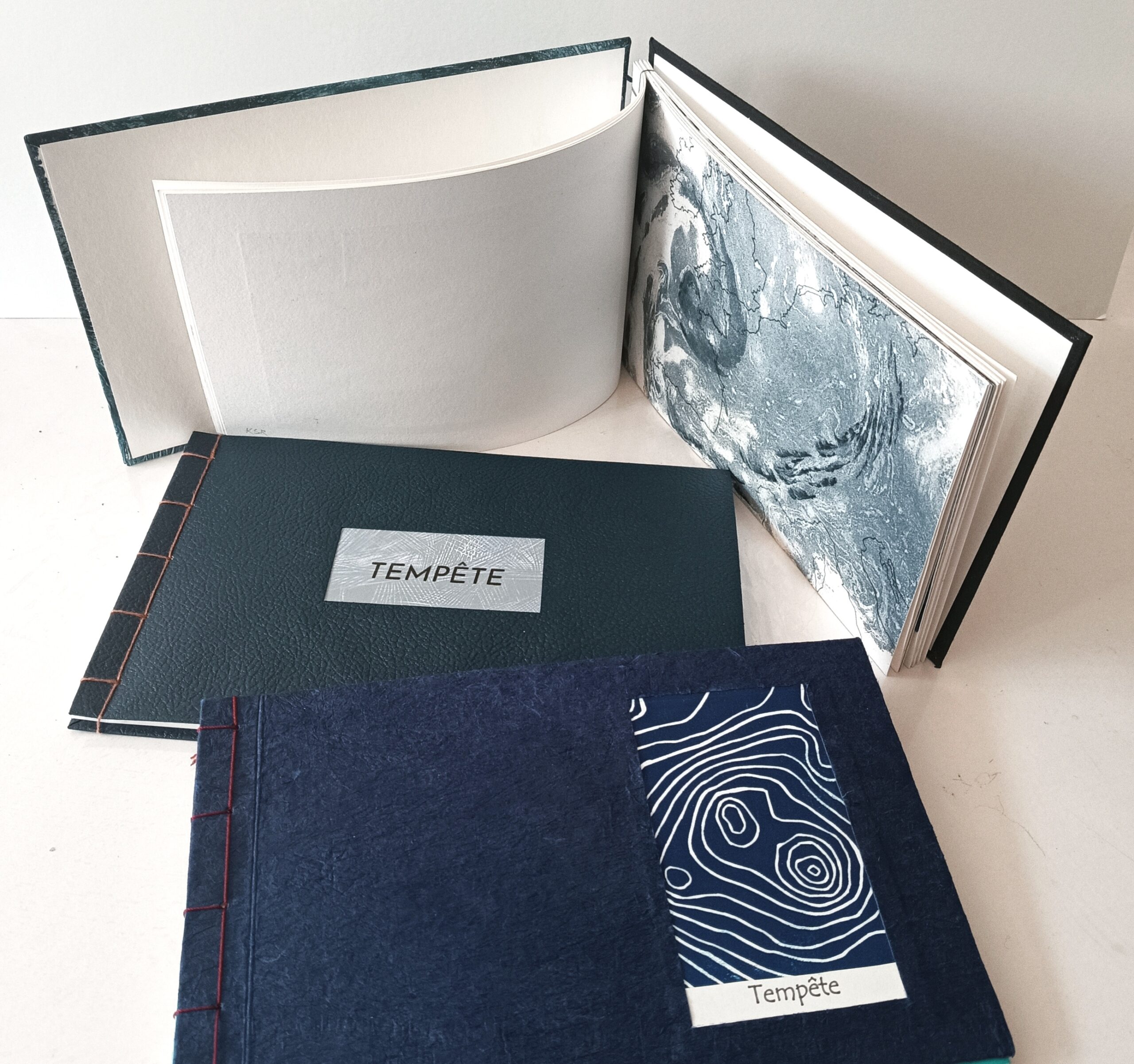 LIVRE ARTISTE GRAVURE